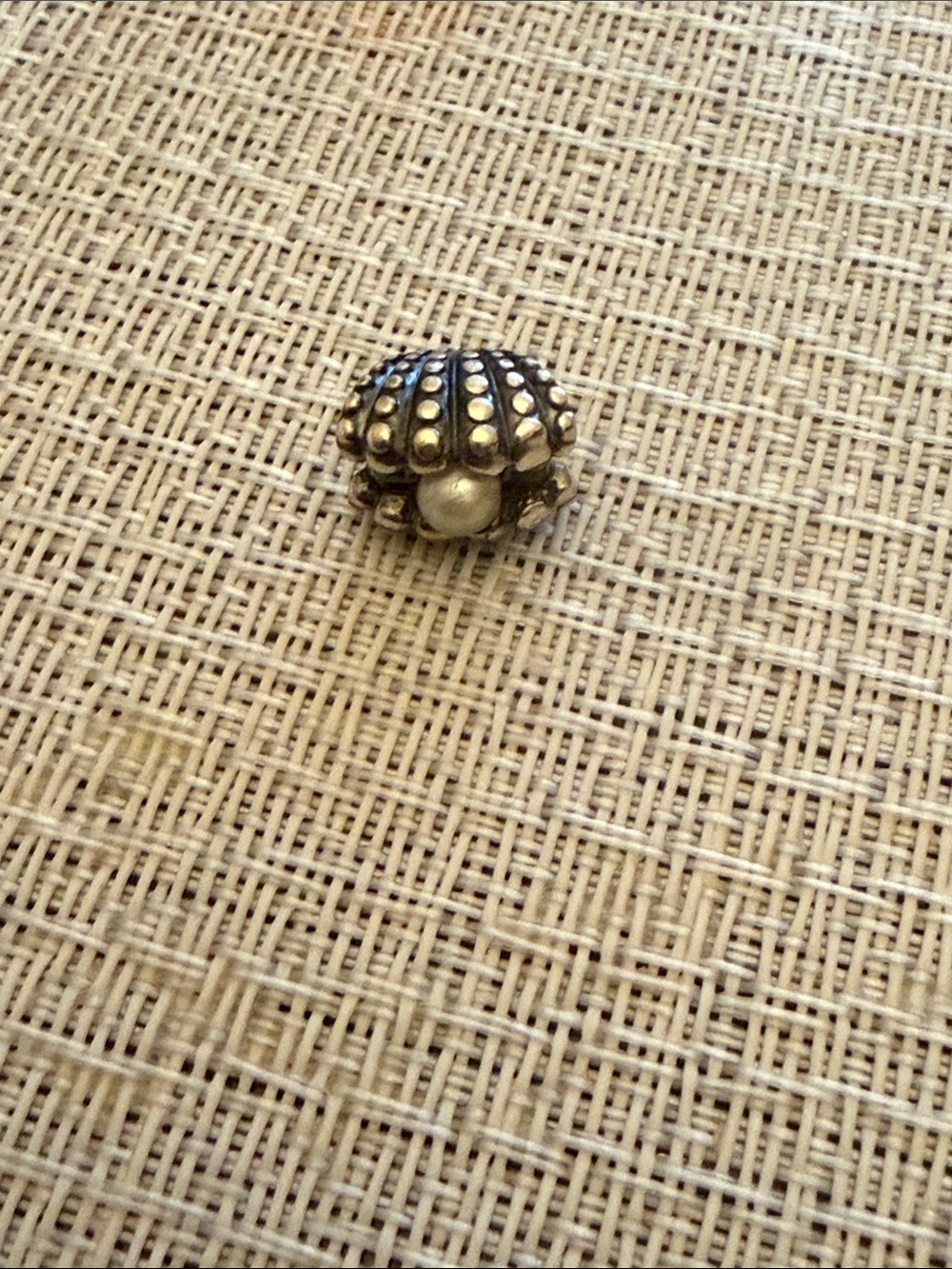 Pandora charm